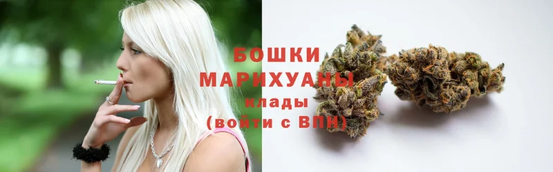 Бошки марихуана OG Kush  Липки 